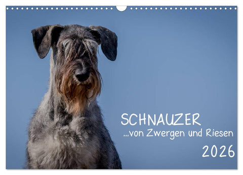 Schnauzer... von Zwergen und Riesen 2026 (Wandkalender 2026 DIN A3 quer), CALVENDO Monatskalender