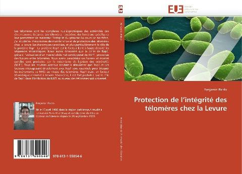 Protection de l''intégrité des télomères chez la Levure
