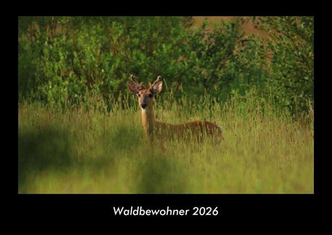 Waldbewohner 2026 Fotokalender DIN A3