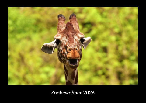 Zoobewohner 2026 Fotokalender DIN A3
