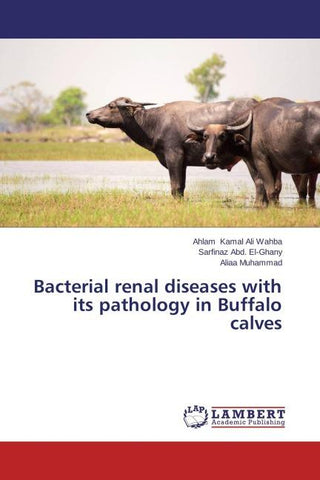 Bacterial renal diseases with its pathology in Buffalo calves
