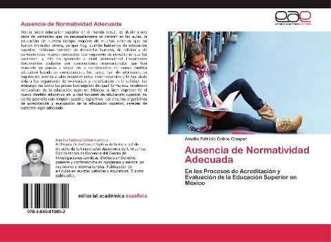 Ausencia de Normatividad Adecuada