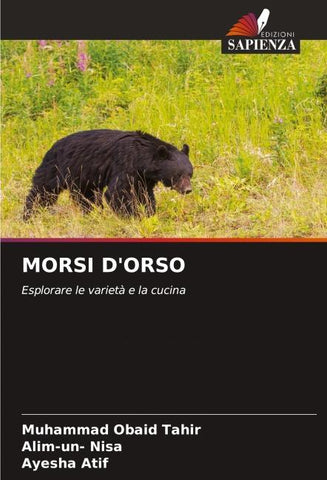 MORSI D'ORSO