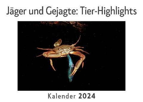 Jäger und Gejagte: Tier-Highlights  (Wandkalender 2024, Kalender DIN A4 quer, Monatskalender im Querformat mit Kalendarium, Das perfekte Geschenk)