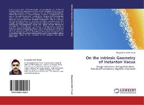 On the Intrinsic Geometry of Instanton Vacua