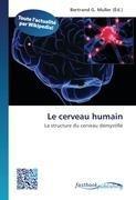 Le cerveau humain