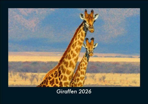 Giraffen 2026 Fotokalender DIN A5