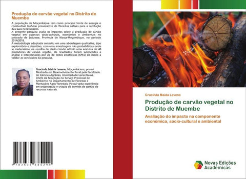 Produção de carvão vegetal no Distrito de Muembe