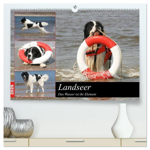 Landseer - Das Wasser ist ihr Element (hochwertiger Premium Wandkalender 2026 DIN A2 quer), Kunstdruck in Hochglanz