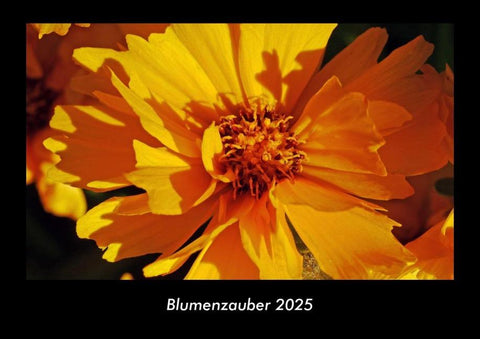 Blumenzauber 2025 Fotokalender DIN A3