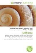 Mollusca