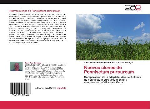 Nuevos clones de Pennisetum purpureum