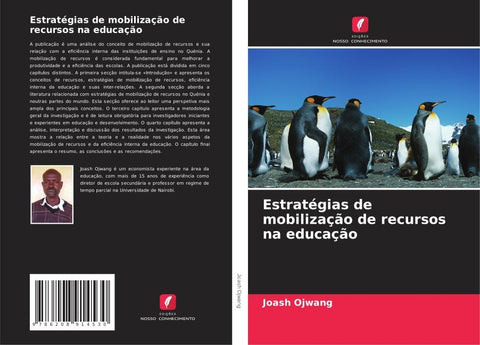 Estratégias de mobilização de recursos na educação