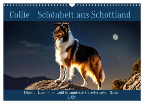 Traumhund Collie (Wandkalender 2026 DIN A3 quer), CALVENDO Monatskalender