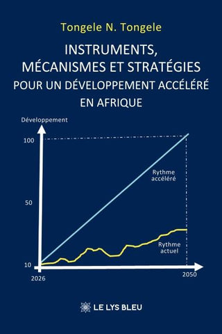 Instruments, mécanismes et stratégies pour un développement accéléré en Afrique