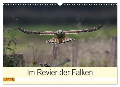 Im Revier der Falken (Wandkalender 2026 DIN A3 quer), CALVENDO Monatskalender