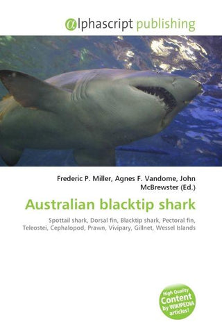 Australian blacktip shark