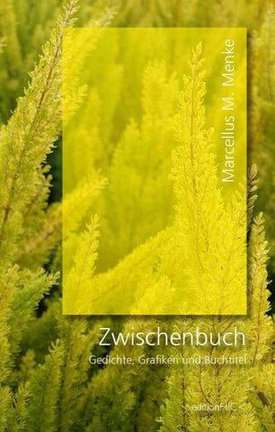 Zwischenbuch