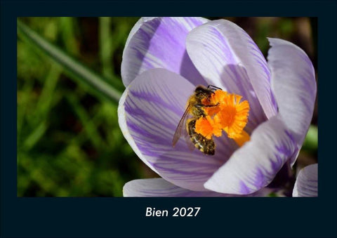 Bien 2027 Fotokalender DIN A4