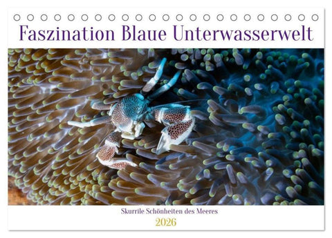Faszination blaue Unterwasserwelt (Tischkalender 2026 DIN A5 quer), CALVENDO Monatskalender