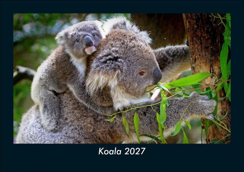 Koala 2027 Fotokalender DIN A5
