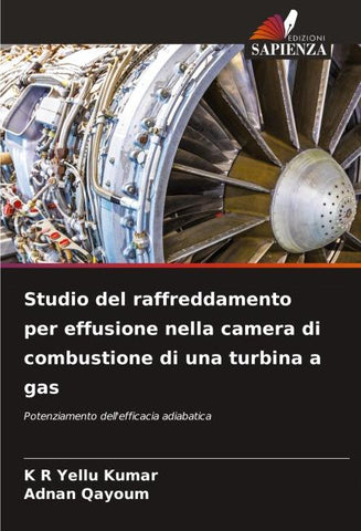 Studio del raffreddamento per effusione nella camera di combustione di una turbina a gas