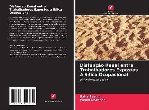 Disfunção Renal entre Trabalhadores Expostos à Sílica Ocupacional