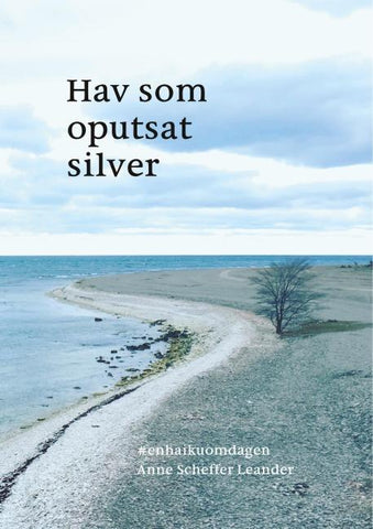 Hav som oputsat silver