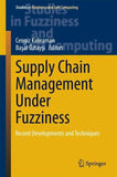 Supply Chain Management Under Fuzziness
