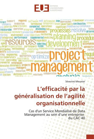L'efficacité par la généralisation de l'agilité organisationnelle