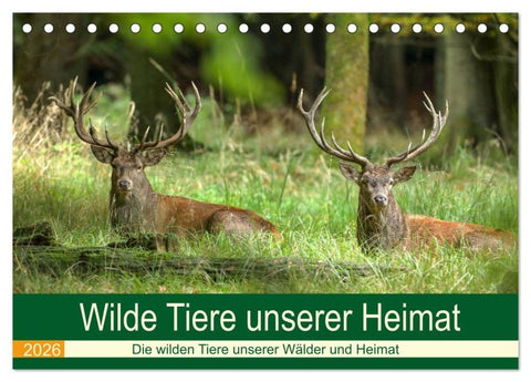 Wilde Tiere unserer Heimat (Tischkalender 2026 DIN A5 quer), CALVENDO Monatskalender