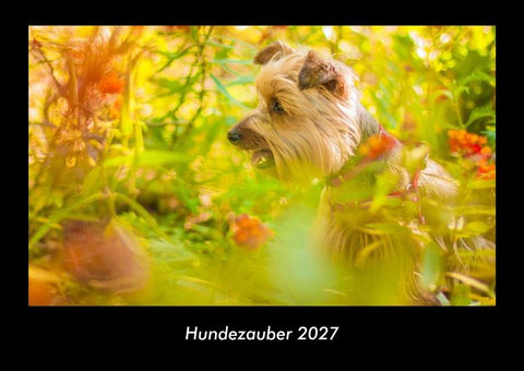 Hundezauber 2027 Fotokalender DIN A3