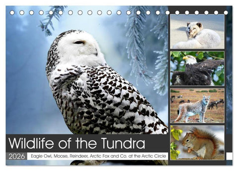 Wildlife of the Tundra (Desk Calendar 2026 DIN A5 landscape), CALVENDO 12 Month DeskCalendar