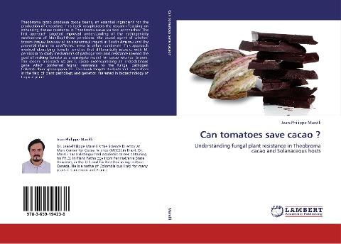 Can tomatoes save cacao ?