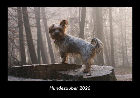 Hundezauber 2026 Fotokalender DIN A3