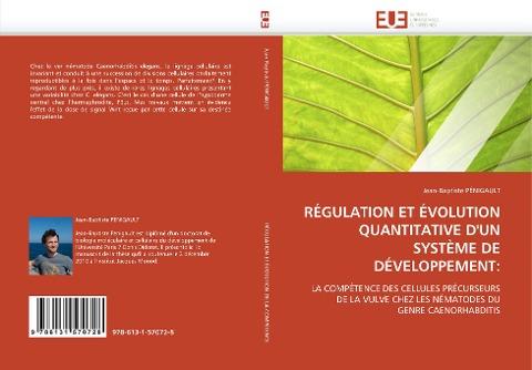 RÉGULATION ET ÉVOLUTION QUANTITATIVE D'UN SYSTÈME DE DÉVELOPPEMENT: