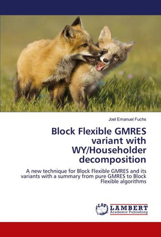 Block Flexible GMRES variant with WY/Householder decomposition