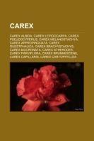 Carex