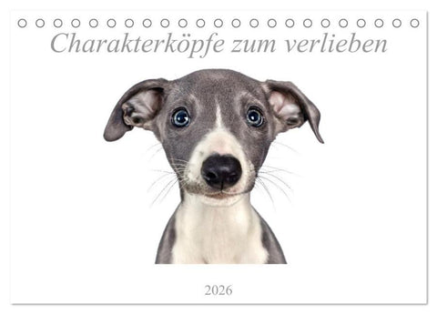 Charakterköpfe zum verlieben (Tischkalender 2026 DIN A5 quer), CALVENDO Monatskalender