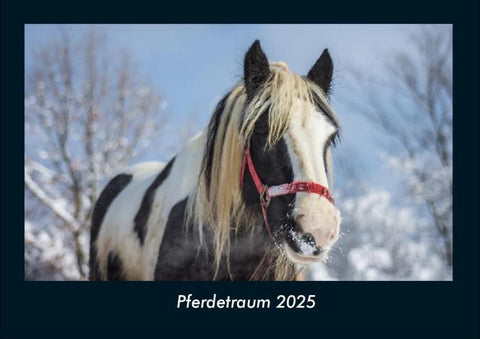 Pferdetraum 2025 Fotokalender DIN A4