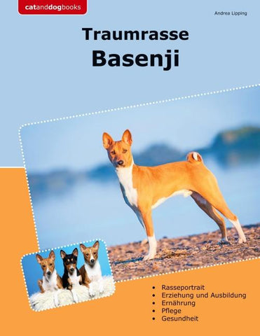 Traumrasse Basenji