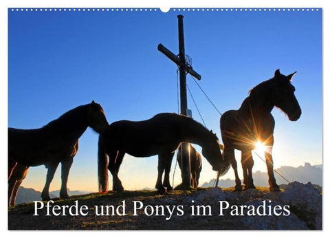 Pferde und Ponys im Paradies (Wandkalender 2026 DIN A2 quer), CALVENDO Monatskalender
