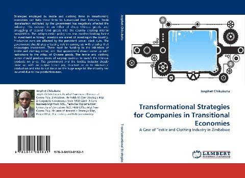 Transformational Strategies for Companies in Transitional Economies