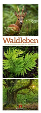 Waldleben Triplet-Kalender 2027 | Spaziergang durch heimische Wälder