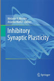 Inhibitory Synaptic Plasticity