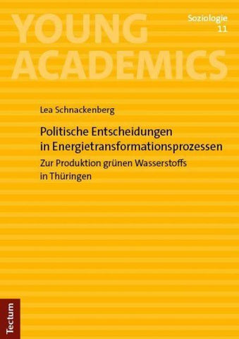 Politische Entscheidungen in Energietransformationsprozessen
