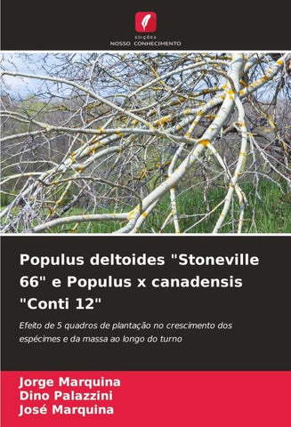 Populus deltoides "Stoneville 66" e Populus x canadensis "Conti 12"