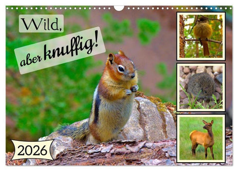 Wild, aber knuffig! (Wandkalender 2026 DIN A3 quer), CALVENDO Monatskalender
