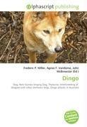 Dingo