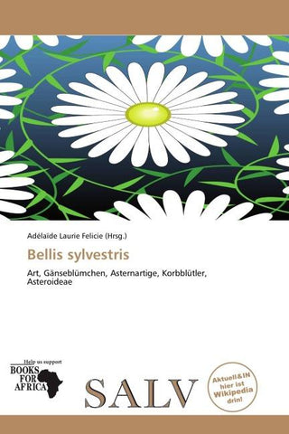 Bellis sylvestris